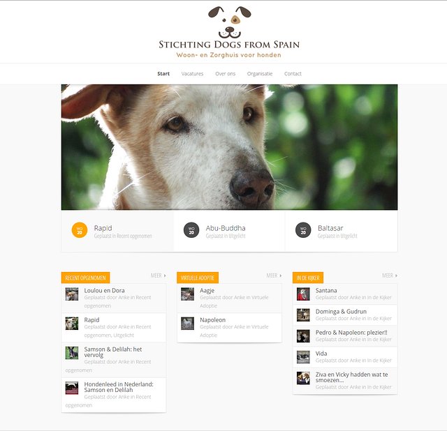 Stichting Dogs From Spain - Woon- en Zorghuis voor honden